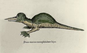 Reprezentace mořského draka. Rukopis Talíř přírodní historie Ulisse Aldrovandi (1522-1605) o příšerách