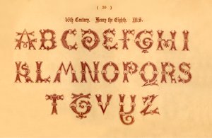 16. století. Jindřich osmý. MS, 1862 od Unbekannt