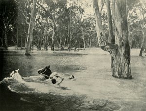 Bankéř, 1901. od Unbekannt