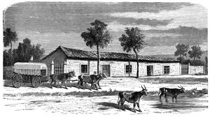 Búrská farma, Jižní Afrika, c1890 od Unbekannt