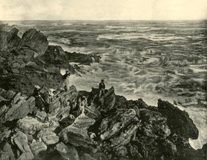 Pobřežní scéna ve Warrnambool, 1901. od Unbekannt