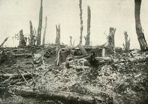 Výkop v tom, co bylo kdysi Sylvánským lesem, 1919. od Unbekannt