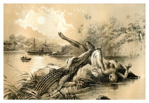 Děsivý incident, 1883 od Unbekannt