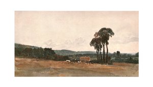 Scéna sklizně - venkovní skica, c1900. od Unbekannt