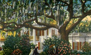 Mansion in the Carolinas, 1942. od Unbekannt