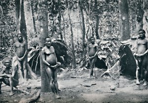 Pygmejská vesnice, povodí severovýchodního Konga, 1912 od Unbekannt