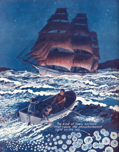 Moře osvětlené živými nočními světly, 1935 od Unbekannt