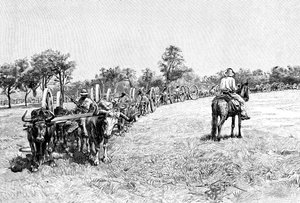 Konvoj vozů, Jižní Amerika, 1895 od Unbekannt