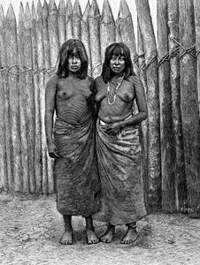 Pár indiánských žen z Gran Chaco, Jižní Amerika, 1895 od Unbekannt
