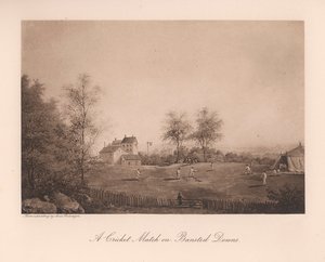Kriketový zápas v Banstead Downs, Surrey, 19. století 1912 od Unbekannt