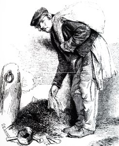 Skřivan bahenní od Unbekannt