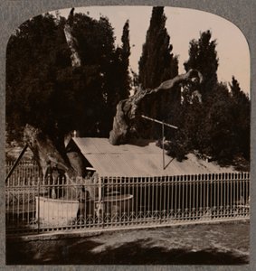 Abrahams Oak poblíž Hebronu, c1900 od Unbekannt