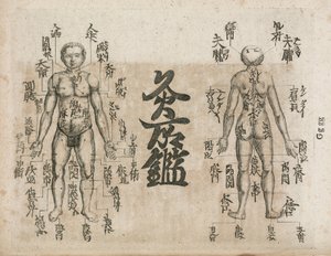 Akupunkturní mapa lidského těla zobrazující body moxování (diagram moxabustion ukazuje, kde je třeba se vyvarovat opice od Unbekannt