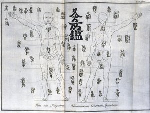 Akupunktura: mapa lidského těla s vyznačením bodů moxování, Japonsko (graf týkající se moxy, c 1690) od Unbekannt