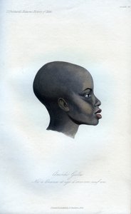 Amochi Galla, portrét Galla, 1848 od Unbekannt