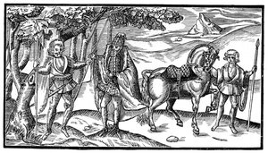 Irský náčelník a jeho doprovod, 1581, 1893 od Unbekannt
