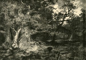 Starý německý les, 1890. od Unbekannt