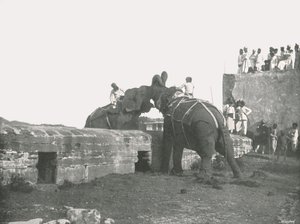 Boj slonů, Hyderabad, Indie, 1895. od Unbekannt