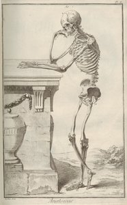Anatomie. Z encyklopedie Denise Diderota a Jean Le Rond d