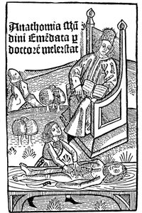 Ukázka anatomie, 1493 od Unbekannt