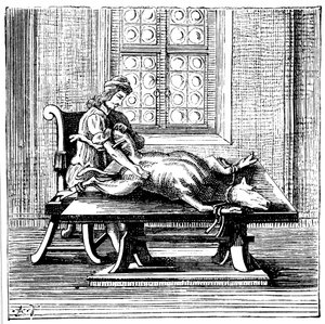 Transfuze krve ze zvířete na člověka, 1679 od Unbekannt