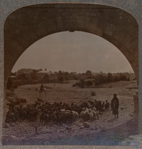 Akvadukt ukazující Jericho přes Arch, c1900 od Unbekannt