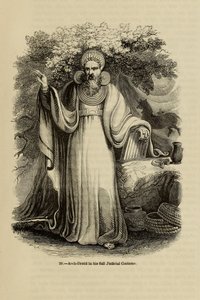 Arch-Druid ve svém plném soudním kostýmu Z knihy Stará Anglie: Obrazové muzeum, 1845 od Unbekannt