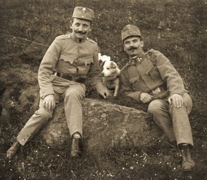 Rakouští vojáci se psem od Unbekannt