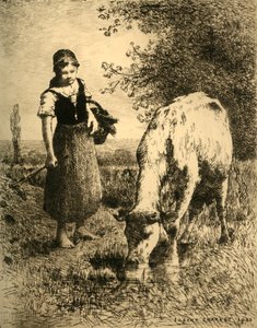 V polích, 1903. od Unbekannt