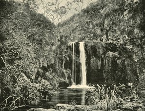 Back Creek Falls, Buchan River, Victoria, 1901. od Unbekannt
