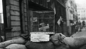 Barikáda na Rue de Chateaudun, osvobození Paříže, srpen 1944 od Unbekannt