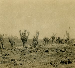 Battlefield, Maurepas, severní Francie, c1914-c1918 od Unbekannt
