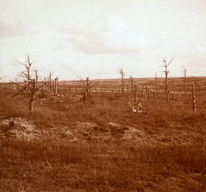 Battlefield, Tahure, severní Francie, c1914-c1918 od Unbekannt