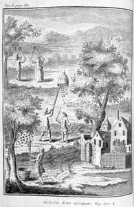 Včelařství, 1775 od Unbekannt