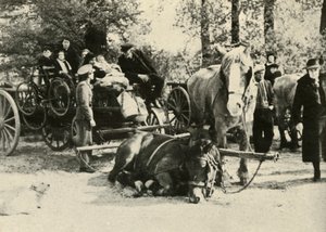 Belgičtí uprchlíci na cestě, 1939-1940, 1941. od Unbekannt