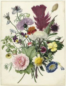 Kytice. 1680 od Unbekannt