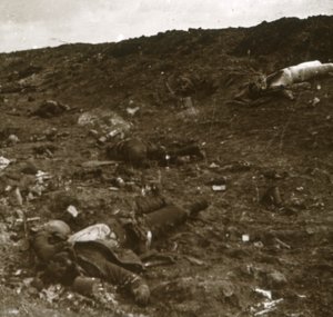 Body, Somme, severní Francie, c1916-c1918 od Unbekannt