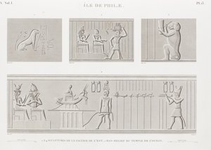 Kniha: Popis Egypta od Unbekannt