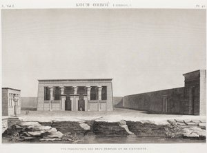 Kniha: Popis Egypta od Unbekannt
