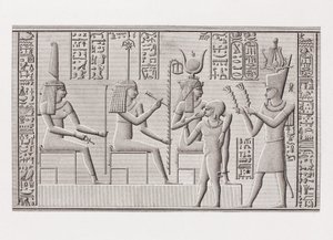 Kniha: Popis Egypta od Unbekannt