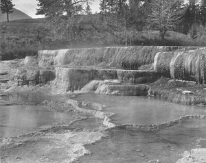 Brown Sulphur Springs, Yellowstonský národní park, USA, c1900. od Unbekannt