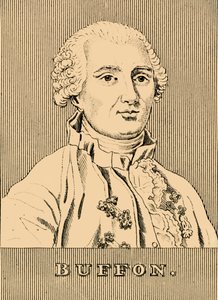 Buffon, 1707-1788, 1830. od Unbekannt