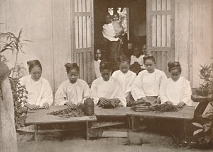 Barmští výrobci doutníků, 1900. od Unbekannt