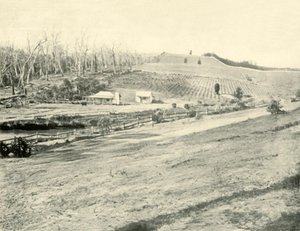 Bush Workmans Home, Gippsland, Victoria, 1901. od Unbekannt