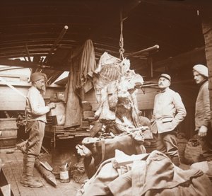Řezníci na člunu, Somme, severní Francie, c1914-c1918 od Unbekannt