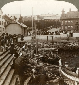 Nákup ryb v rušném arktickém obchodním přístavu, Tromsoe 69° 38 N. Lat., Severní Norsko, 1902. od Unbekannt
