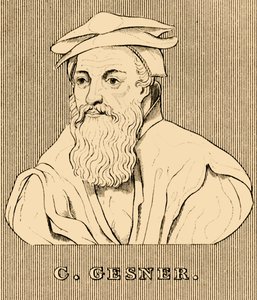 C. Gesner, 1516-1565, 1830. od Unbekannt