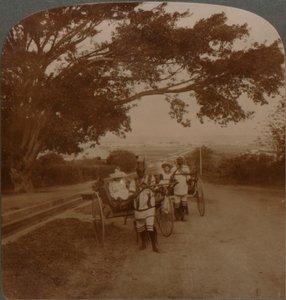 Taxíky kreslené domorodci na obytné silnici, Durban, Jižní Afrika, c1900 od Unbekannt