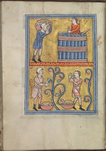 Kalendář, září, muži sbírání a šlapání hroznů - žaltář Eleonory Akvitánské (asi 1185) - KB 76 F 13, folium 009v od Unbekannt