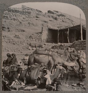 Velbloudí vlak z Jerash, zalévání u fontány Elisha, c1900 od Unbekannt